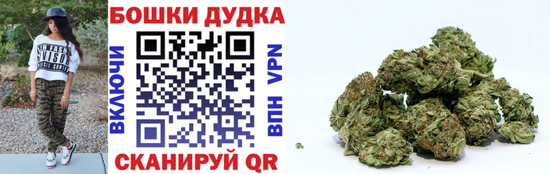 Конопля OG Kush  Купить  Ртищево 